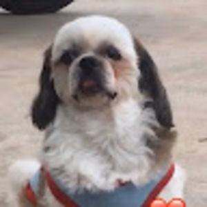 Meet your Posher, Hana